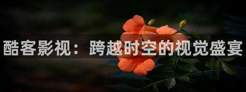 青苹果影院网址