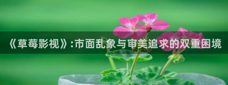 青苹果影院在线免费播放